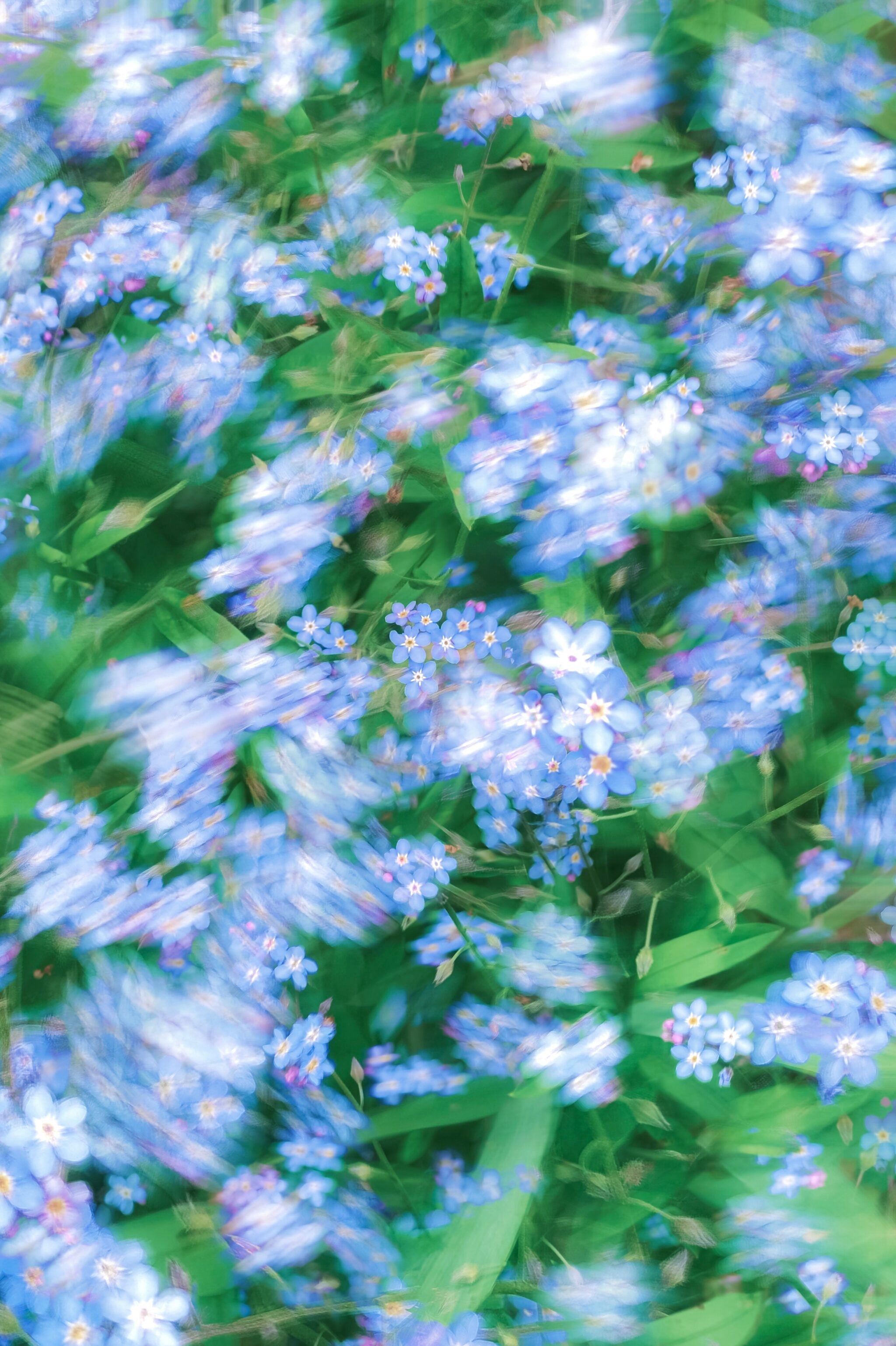 Eugene golovesov gf Kb4tsy F Yg unsplash