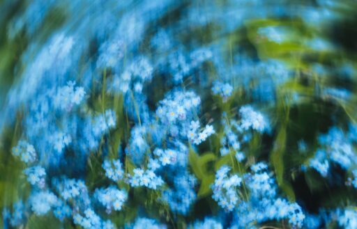 Eugene golovesov l6 W En1 XTYEE unsplash