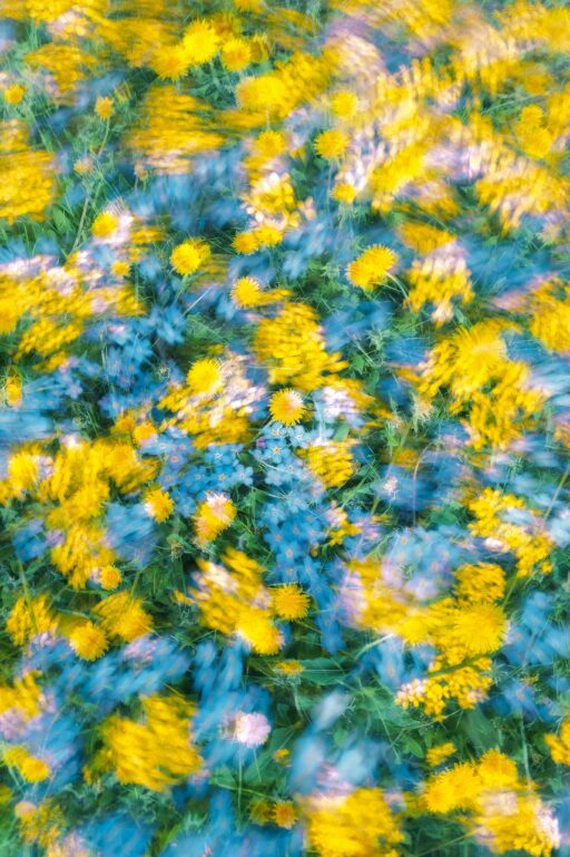Eugene golovesov vq Ty0 Qb7 P Us unsplash
